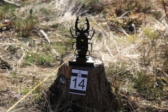 emv_22_1_047