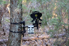 emv_22_1_117