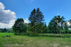 22emv2_023