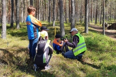 Kogu pere liikumispäev Jõulumäel 30.05.2021