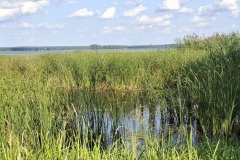 Messenger_creation_3F956DA6-1EBD-4142-A342-E45252CB9FFE